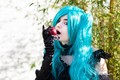 2011-12-17 - Miku